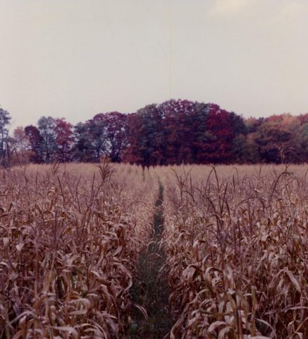 Spencer Cornfield